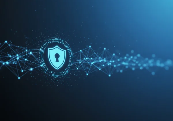 Secure patient data transfer and privacy shield